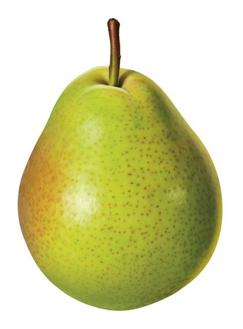 fresh green pear  white background stock images