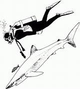 Diver Scuba Shark Coloring Pages Drawing Diving Sketch Clipartmag Paintingvalley Gif sketch template