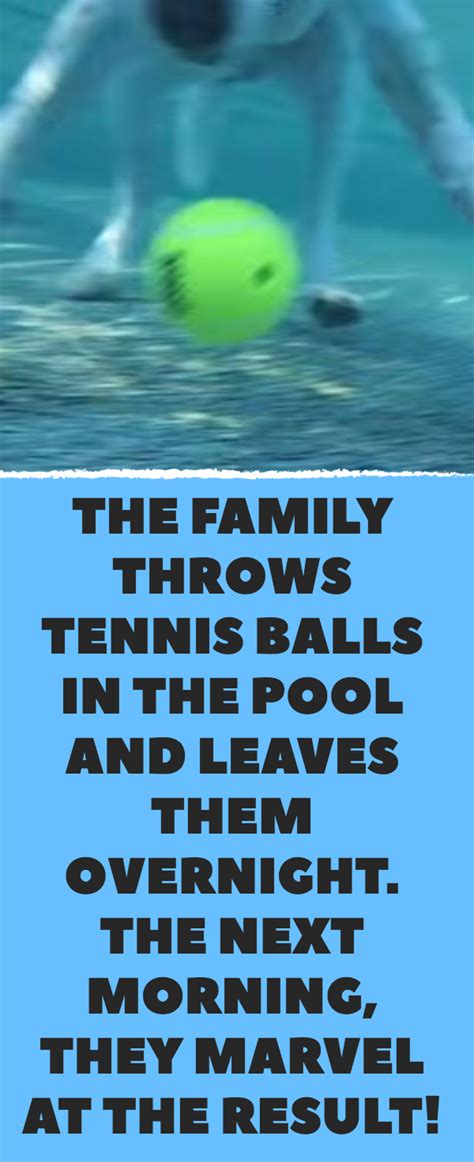 clean  pool   tennis ball
