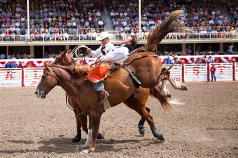 The 2018 Calgary Stampede Was One Of The Most Successful To Date Listed