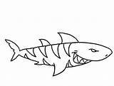 Shark Coloring Tiger Pages Megalodon Hammerhead Scary Drawing Clipart Color Hungry Open Mouth Outline Drawings Kids Hunting Whale Sharks Blue sketch template