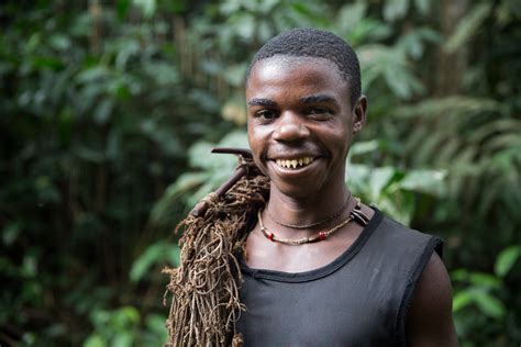 central african republic hunting   pygmies gorilla love