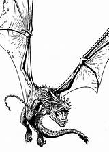 Potter Harry Coloring Di Dragon Pages Da Drawing Drago Disegni Tatuaggi Bing Scegli Bacheca Una Wood sketch template