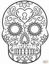 Skull Coloring Pages Sugar Simple Getcolorings sketch template