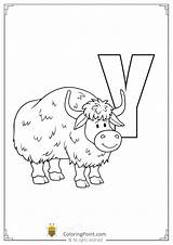 Yak Alphabet Worksheets Tracing sketch template