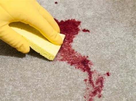 remove fruit juice   carpet  carpet care