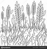 Colorare Grano Cereali Frumento Barley sketch template