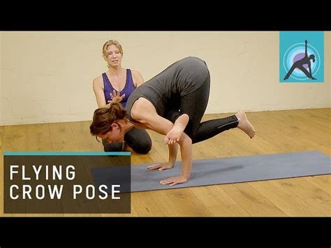 flying crow pose eka  galavasana  yoga tips