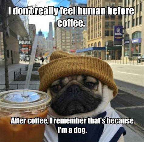 20 coffee memes that ll wake you up