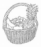 Fruits Panier Korb Unterschiedlicher Cesta Früchten Verschiedenen Getdrawings sketch template