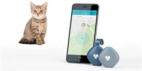 findster  cats pet tracker reviews