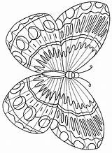 Coloring Pages Insect Butterfly Choose Board sketch template