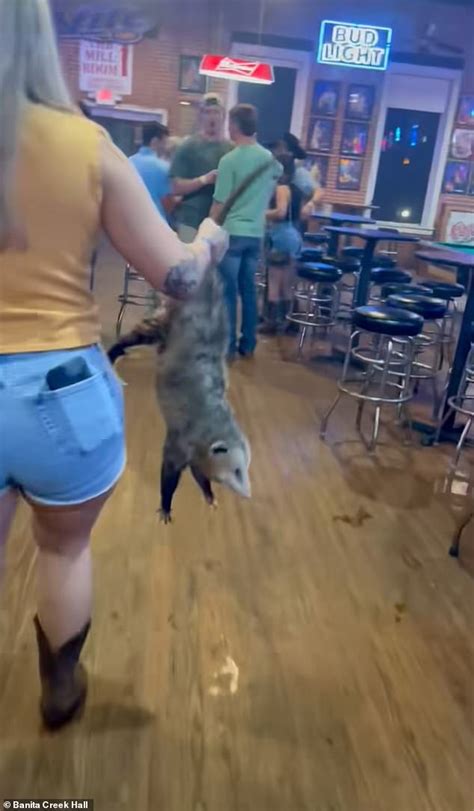 Woman Grabs A Possum Causing Chaos On The Dance Floor Of Texas Hall And