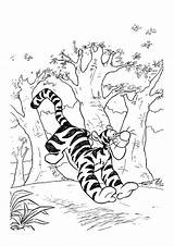 Tigger Tygrysek Winnie Pooh Kolorowanki Coloring4free Downloadable Charmed Dzieci sketch template