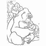 Gorilla Tarzan Sleep Kleurprentje Printen sketch template