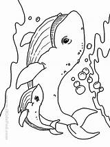 Malvorlagen Creature Getdrawings Underwater Skizzen Tieren Divyajanani sketch template