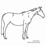 Warmblood Mare Coloring Color Horse Pages Index Own sketch template