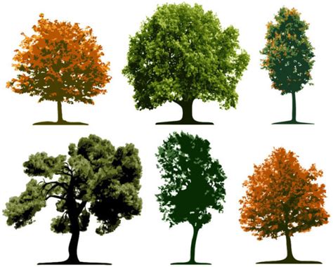 tree design elements vector vectors graphic art designs