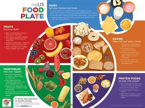 The Us Foodplate Myplate Healthyeating