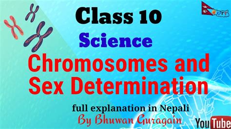 Chromosomes And Sex Determination Class 10 Biology Full