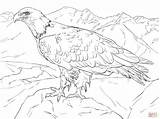 Eagle Bald Alaska Coloring Pages Printable Drawing Supercoloring Color Soaring Adult Birds Kids Flag Bird Drawings Lines Draw sketch template