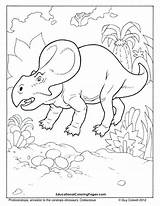 Coloring Dinosaur Pages Protoceratops Book Kids Dinosaurs Printable Colouringpages Animal Au Colouring Sheets Print Tegninger Choose Board Preschool Color Privacy sketch template