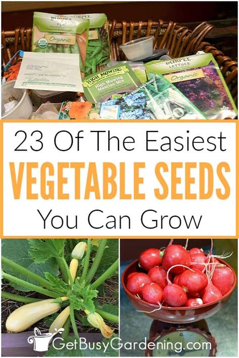 23 Easiest Vegetables To Grow From Seed Get Busy Gardening