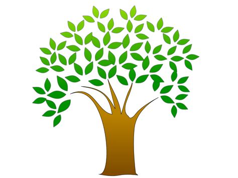 tree clipart  clipart images clipartingcom