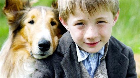 lassie 2005 film alchetron the free social encyclopedia