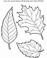 Leaves Coloring Pages Color Print Leaf Printable Getcolorings sketch template