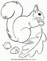 Squirrel Coloriage Ausmalbilder Eichhörnchen Tiere Herbst Ausmalbild Squirrels Veverite Cu Eichhornchen Charlotteblabla Colorat Kobel Nchen Eichh Colorir Veverita Nagetier Automne sketch template