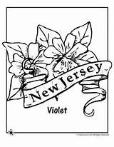 Coloring Flower Jersey State Pages Ohio Iowa Cliparts Flowers Usa Getcolorings Clip Jr Printables Brutus sketch template