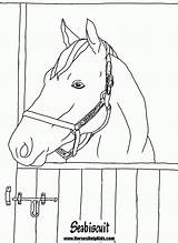 Coloring Seabiscuit Pages Popular sketch template