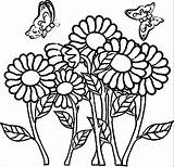 Coloring Pages Easy Boys Flower Adults Butterfly Printable Color Print Getcolorings sketch template