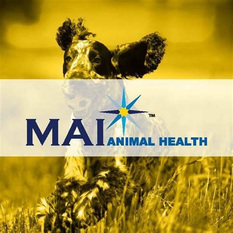 mai animal health youtube
