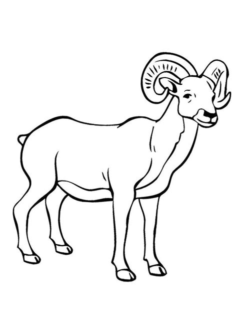 colouring page mountain goat coloringpageca