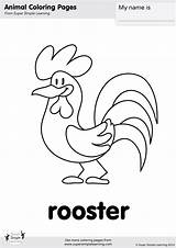 Rooster Coloring Simple Super Old Macdonald Song Morning Farm Pages Animal Good Supersimple sketch template