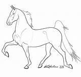 Lineart Gaited Cavalo Cliparting Cavalos Linearts sketch template