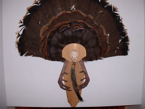 turkey fan mount template printable