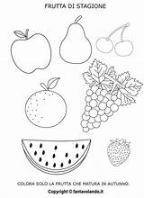 Frutta Fantavolando Stagione Educazione Alimentare Ogni Scaricate sketch template