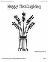 Thanksgiving Coloring Wheat Sheaf Pages Happy Large Bigactivities Activities Kids sketch template