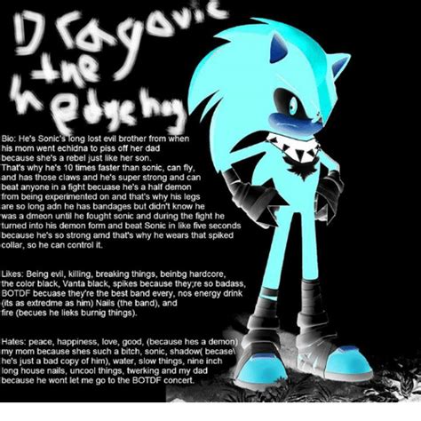 bio he s sonic s long lost evil brother from when his mom went echidna to piss off her dad