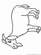 Goat Coloring Pages Color Cartoon Printable Colouring Animals Cliparts Goat2 Clipart Printables Mountain Animal 2454 Children Clip Kids Library Gif sketch template