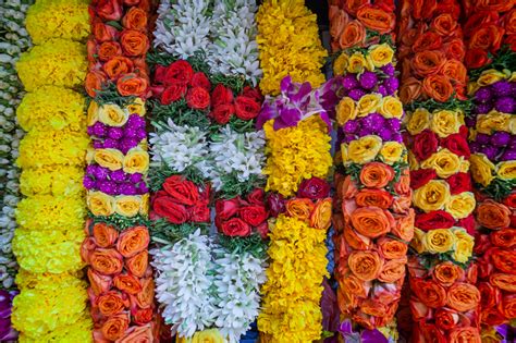 indian bridal flower garland  singapore battered luggagebattered