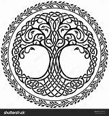Yggdrasil Baum Keltische Decorative Keltischer Lebensbaum Lebens Des Spool Arbre Vie Norse Nordic Krieger татуировки Vectorified Dekorativer Celtique символами Vektorgrafik sketch template