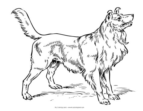 dog  kids dogs kids coloring pages  realistic puppy coloring