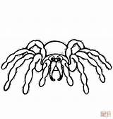 Spider Coloring Cartoon Pages Drawing Spiders Printable Halloween Colorings Supercoloring Categories sketch template