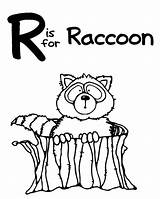 Raccoon Netart sketch template