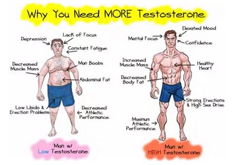 natural ways to increase testosterone testosterone