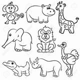 Zoo Animals Drawing Cute Drawings Illustration Collection Outlined Kid Stock Vector Expert Getdrawings Draw Easy Paintingvalley sketch template